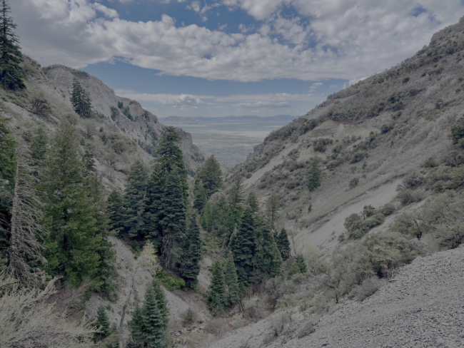 Mountain canyon view from Grove Canyon trail, with pine trees and Utah Lake visible in the distance under a partly cloudy sky.