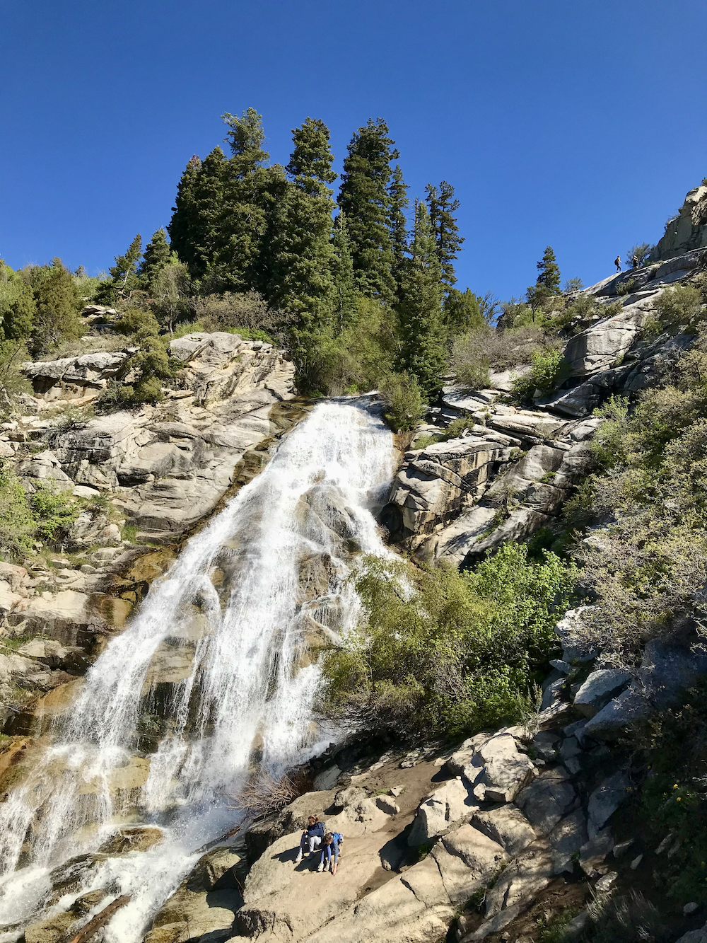 Horsetail Falls waterfall cascading over rocky cliffs surrounded by trees under a clear blue sky.